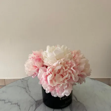 Spacious One Bedroom With Large Terrace In Centre Apartment